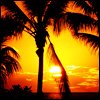Paradise